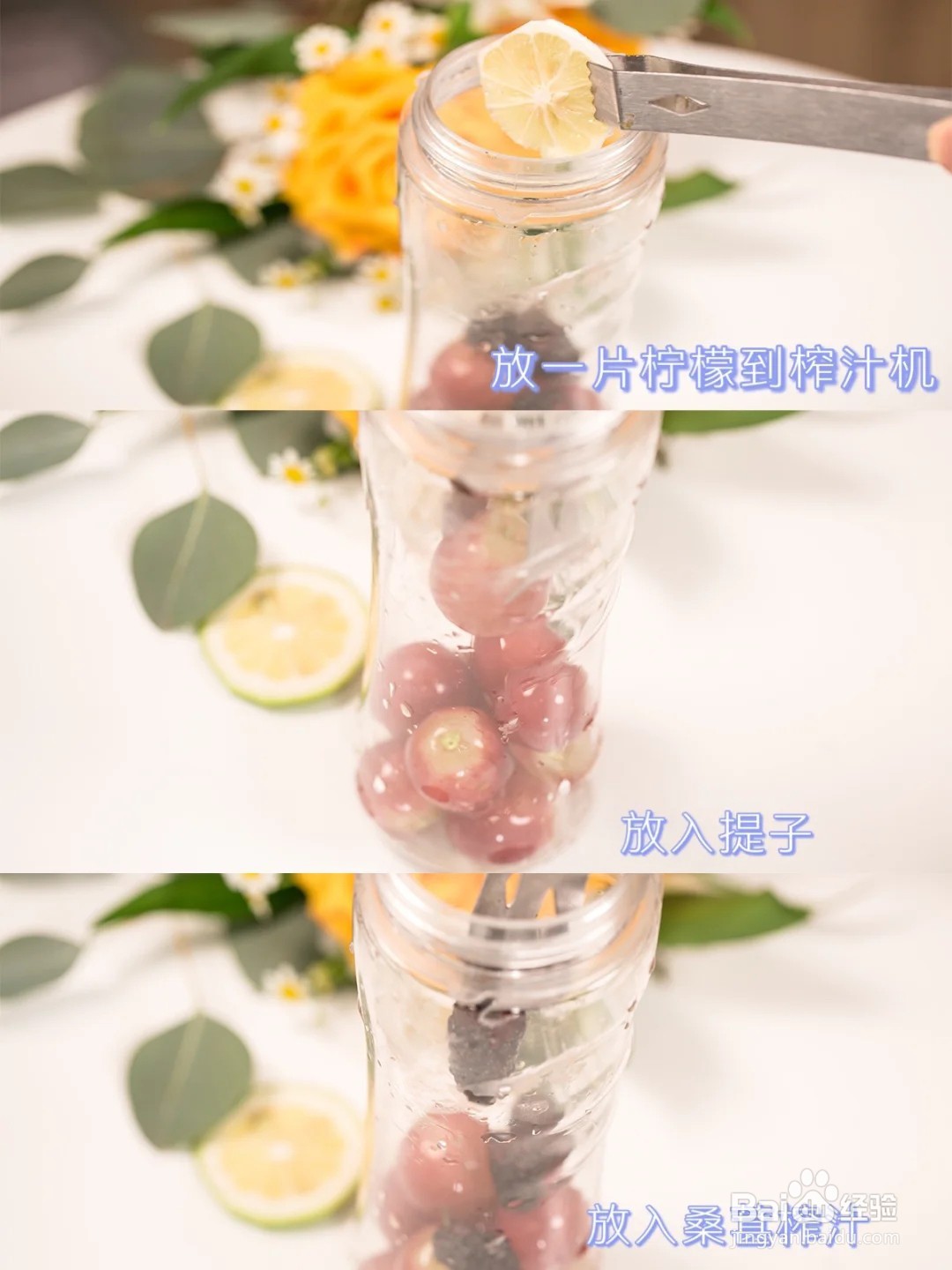 【饮品】葡萄冰气泡水的做法