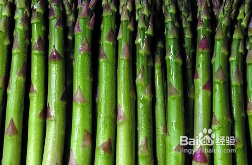 晚餐减肥食谱热荐，三丝掐菜永远吃不胖