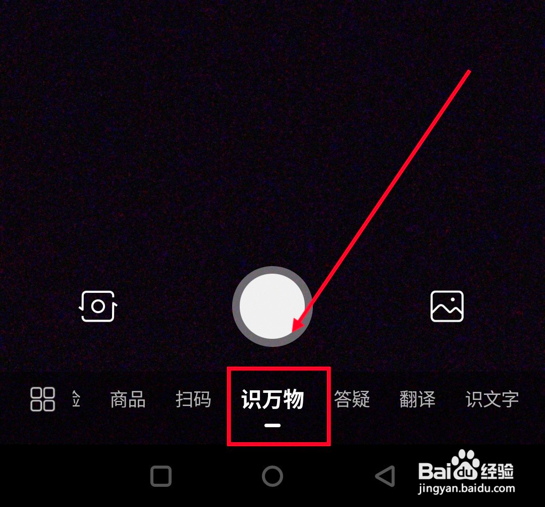 不认识的虫子怎么查