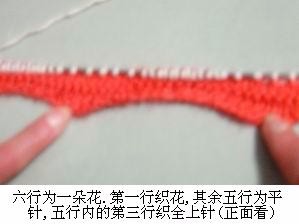 凤尾花毛衣的织法