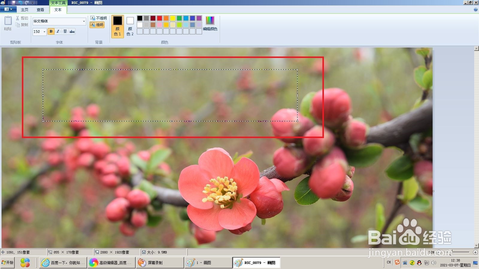 怎么在照片上加文字