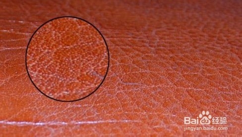 买车如何识别真皮座椅