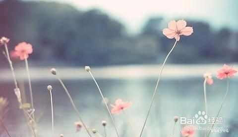 如何玩转基金，从基金里面赚钱