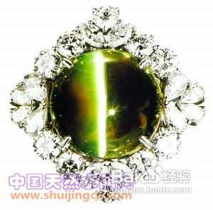 猫石眼的简介和分类