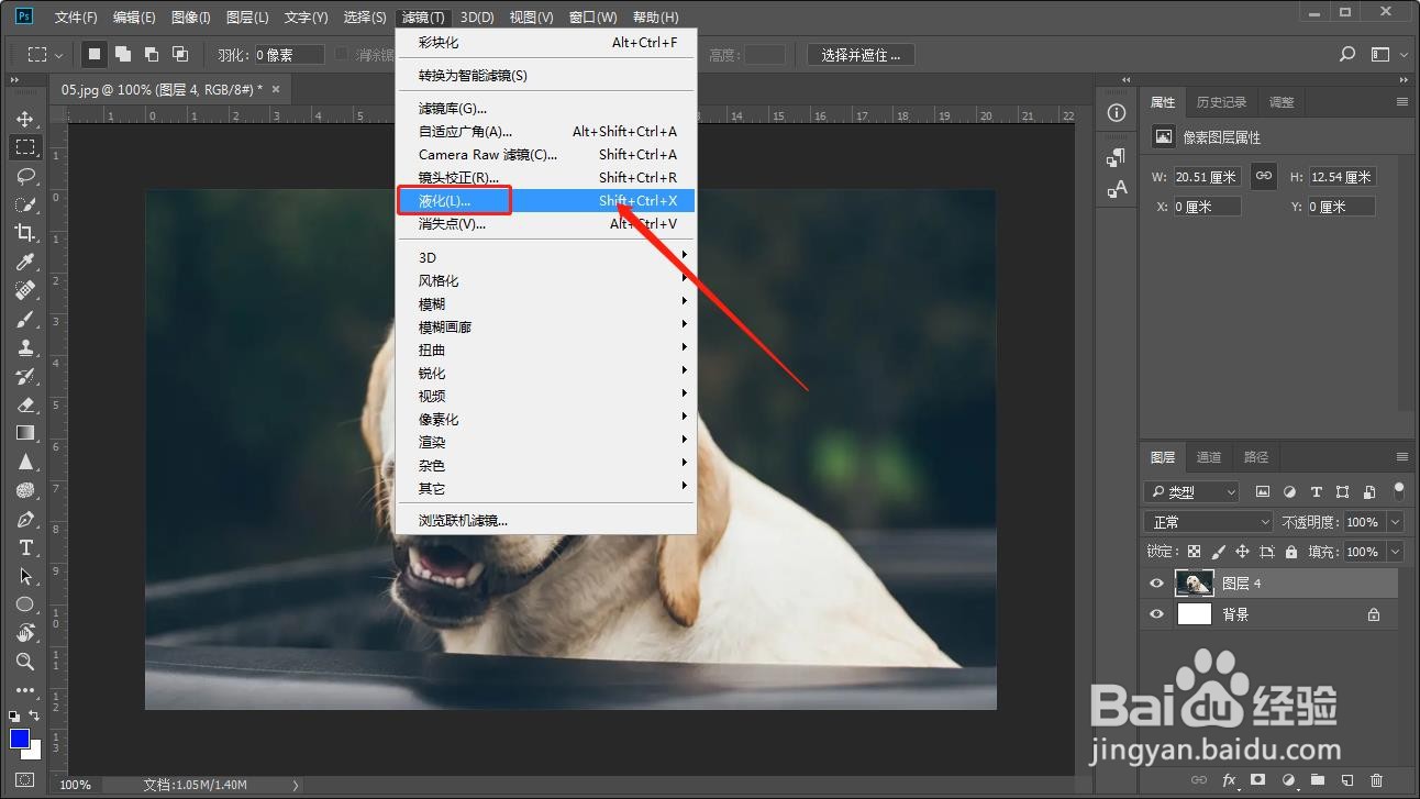 如何在PS中将宠物狗的鼻子做成变大的效果？