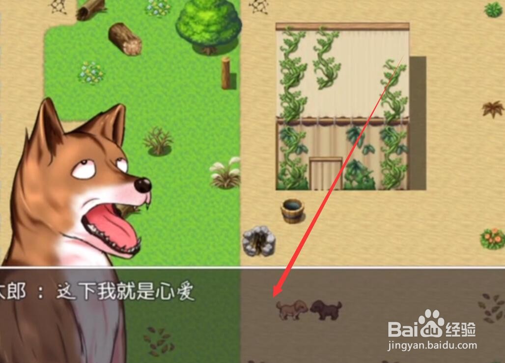 野良犬的寝室如何开启全cg