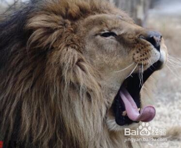 红酒加盟警惕的十个陷阱