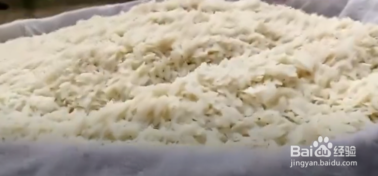 印度小吃辣波哈的做法