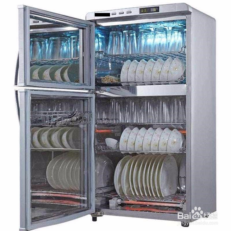 猫有绦虫家里怎么消毒