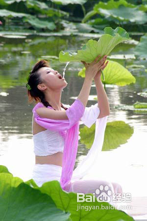 12种刮油消脂茶DIY