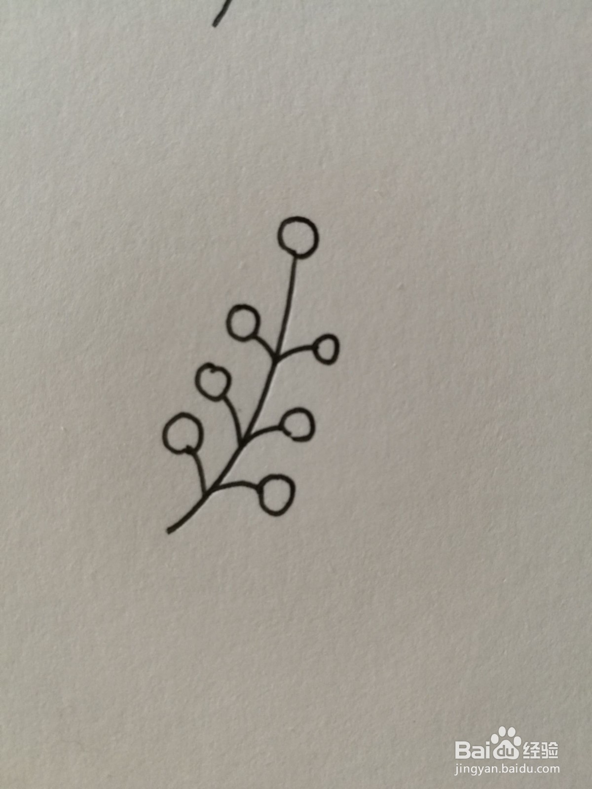 小草简笔画之画法十四