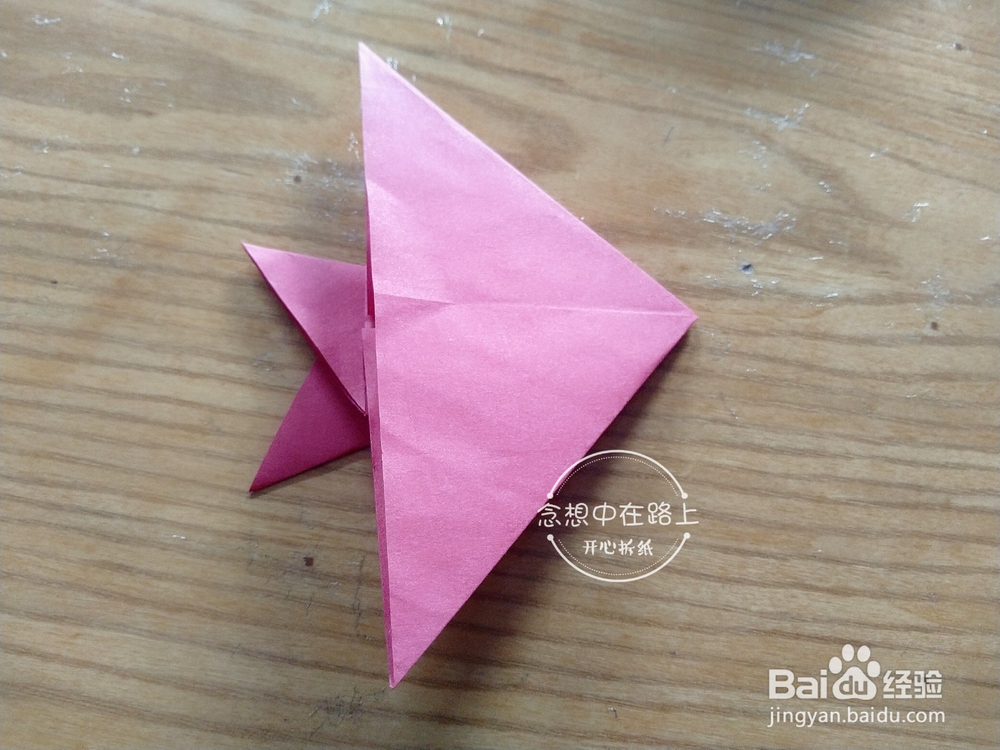 幼儿园小朋友学折纸-又来一条热带鱼