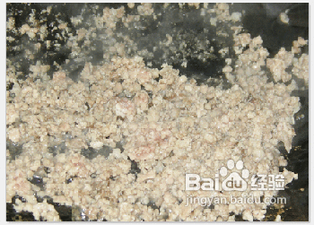 香辣家常午餐鲜香味道好