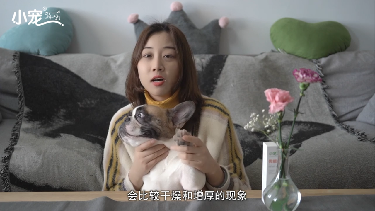 狗狗鼻子为什么会干裂