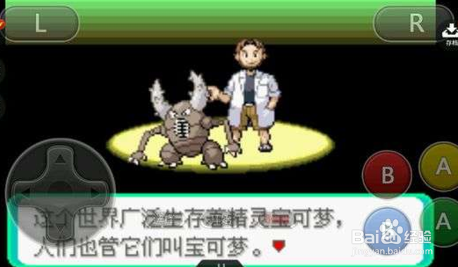口袋妖怪冰雪城mage攻略