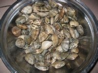 辣炒花哈的做法