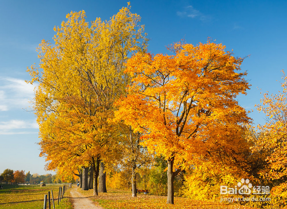 秋季要预防什么病