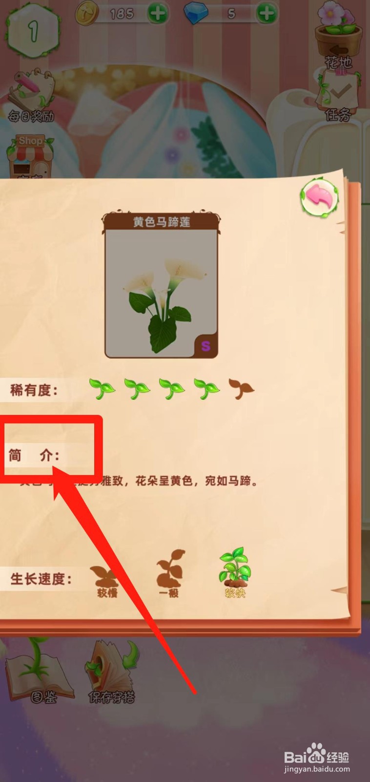 花花姑娘之魔法花园如何查看黄色马蹄莲简介