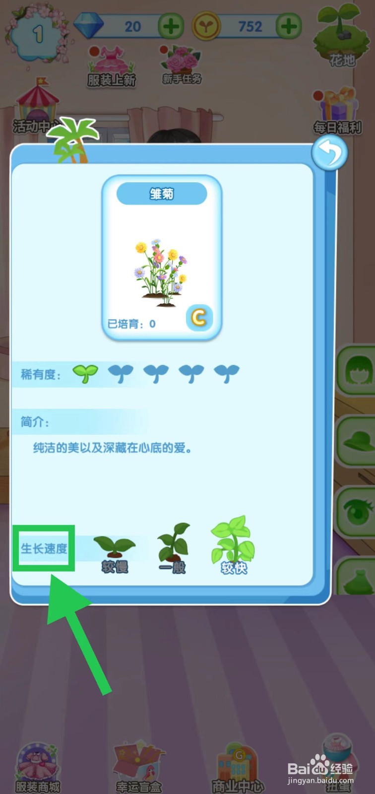 花花姑娘之魔法花园怎么查看雏菊的生长速度
