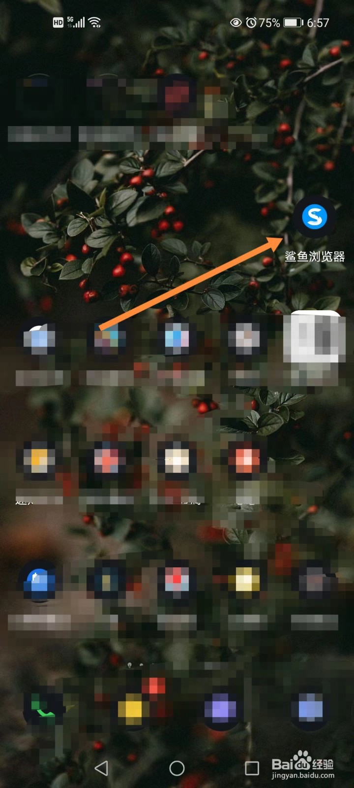 鲨鱼浏览器如何将网页字体变大