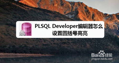 PLSQL Developer编辑器怎么设置圆括号高亮