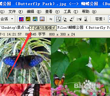 Beyond Compare怎么对比图片差异