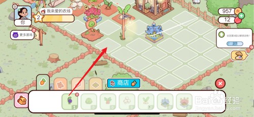 我亲爱的农场如何种植魔鬼莓