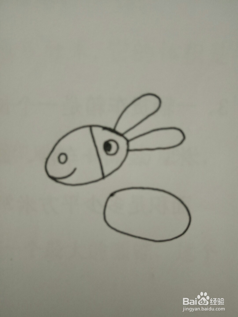 简笔画动物篇之毛驴