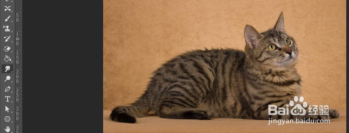 ps如何使用涂抹工具