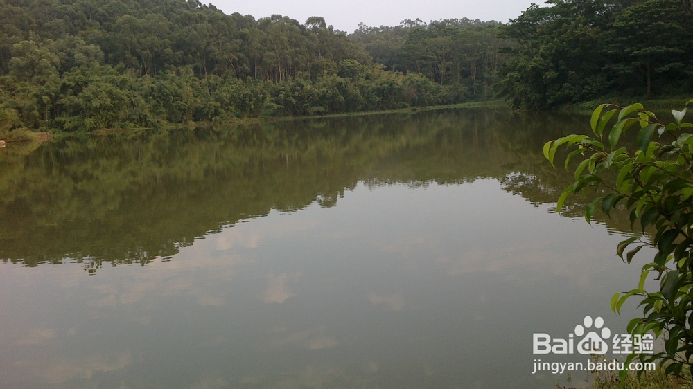 旅游指南话你知