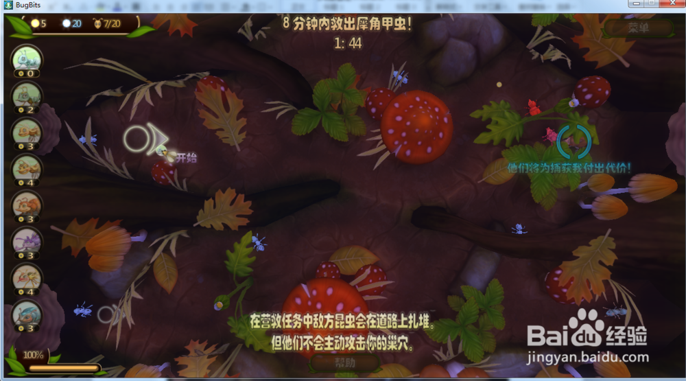 虫虫大作战—营救犀角甲虫攻略