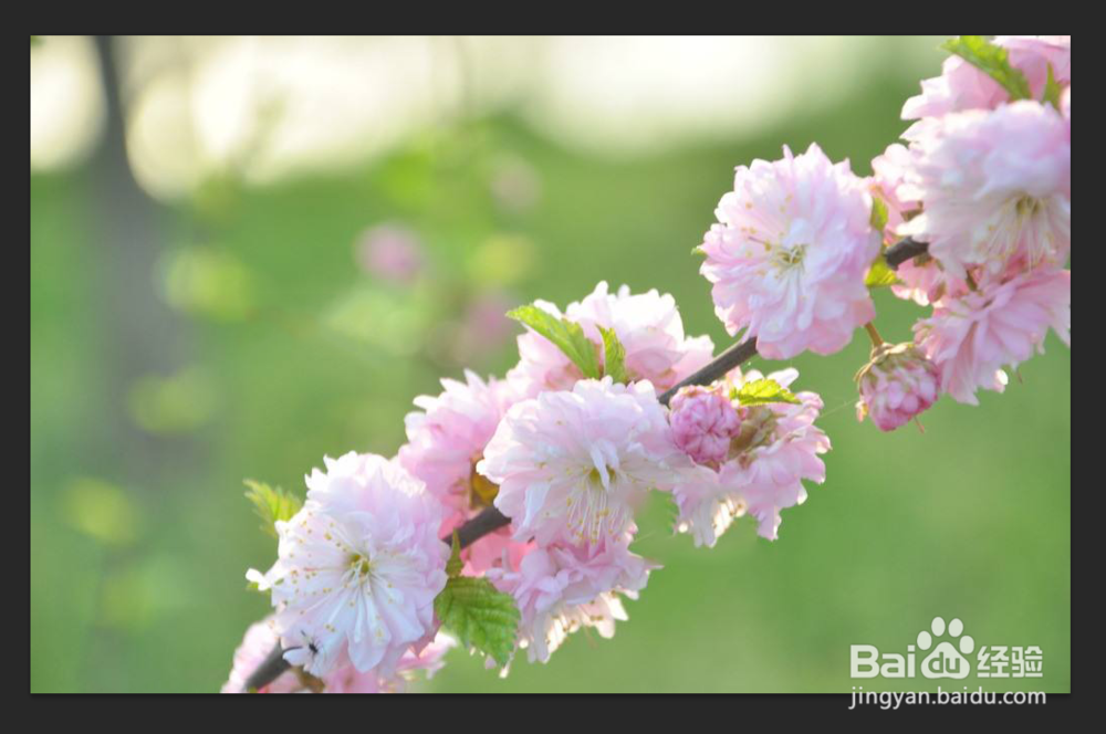 PS如何快速去除图片水印