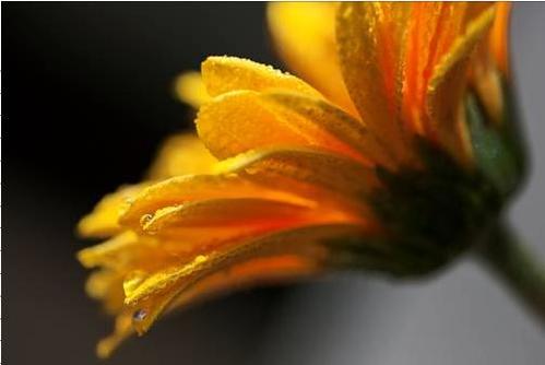 发烧友最爱的佳能5支红圈摄像头