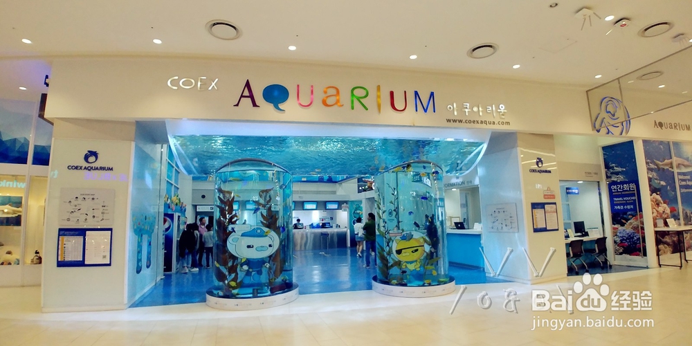 周末京畿首尔景点一日游(附首尔一日券)