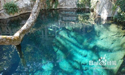 大理住宿推荐旅游攻略