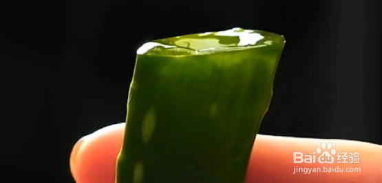 怎么必备出行急救知识