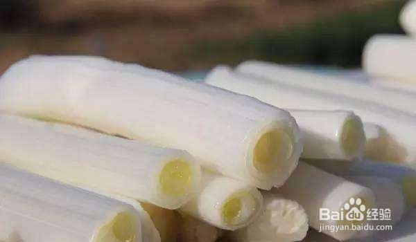 家庭治疗感冒的食疗方法