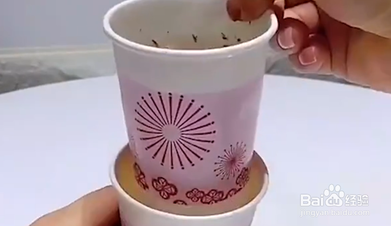 如何自制植物驱虫液？