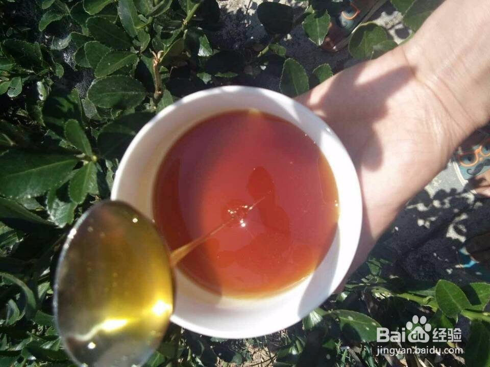 教你如何识别正宗土蜂蜜和市场上的蜂蜜