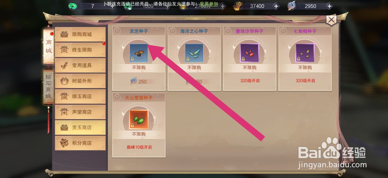 剑御天下如何购买【灵芝种子】