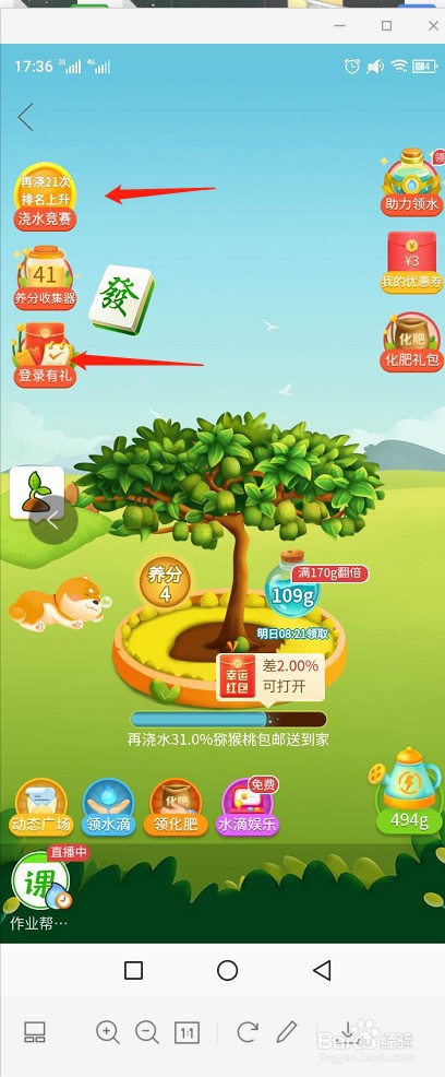 拼多多领取免费水果攻略