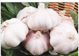 夏天怎么治疗脚气