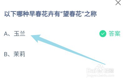 蚂蚁庄园:以下哪种早春花卉有