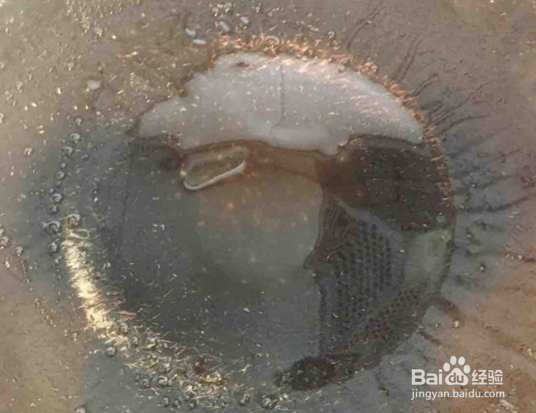 红烧鸭腿的做法