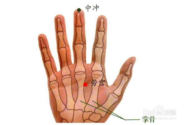 立夏应该怎么养生