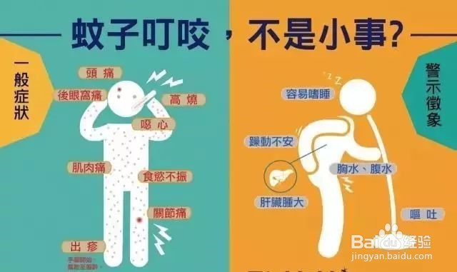 登革热高发季,如何有效预防登革热