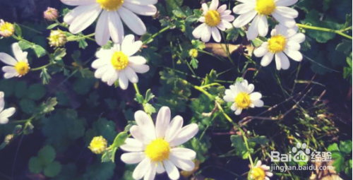 生气憋屈怎么发朋友圈