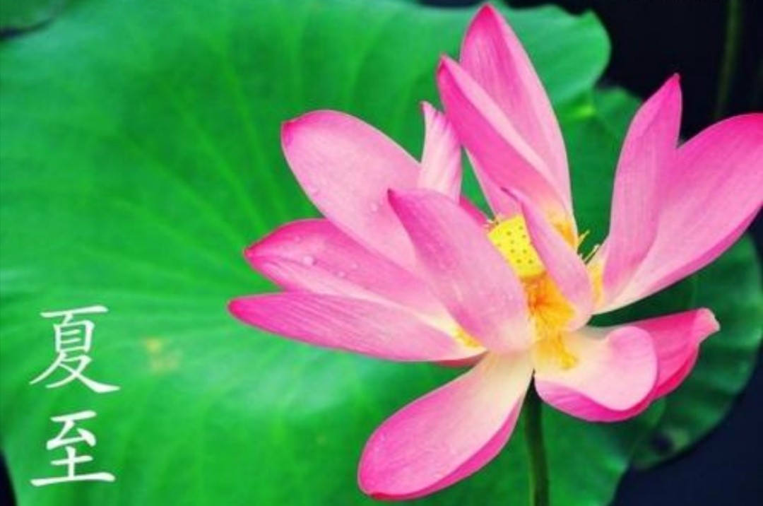 有关二十四节气夏至小故事