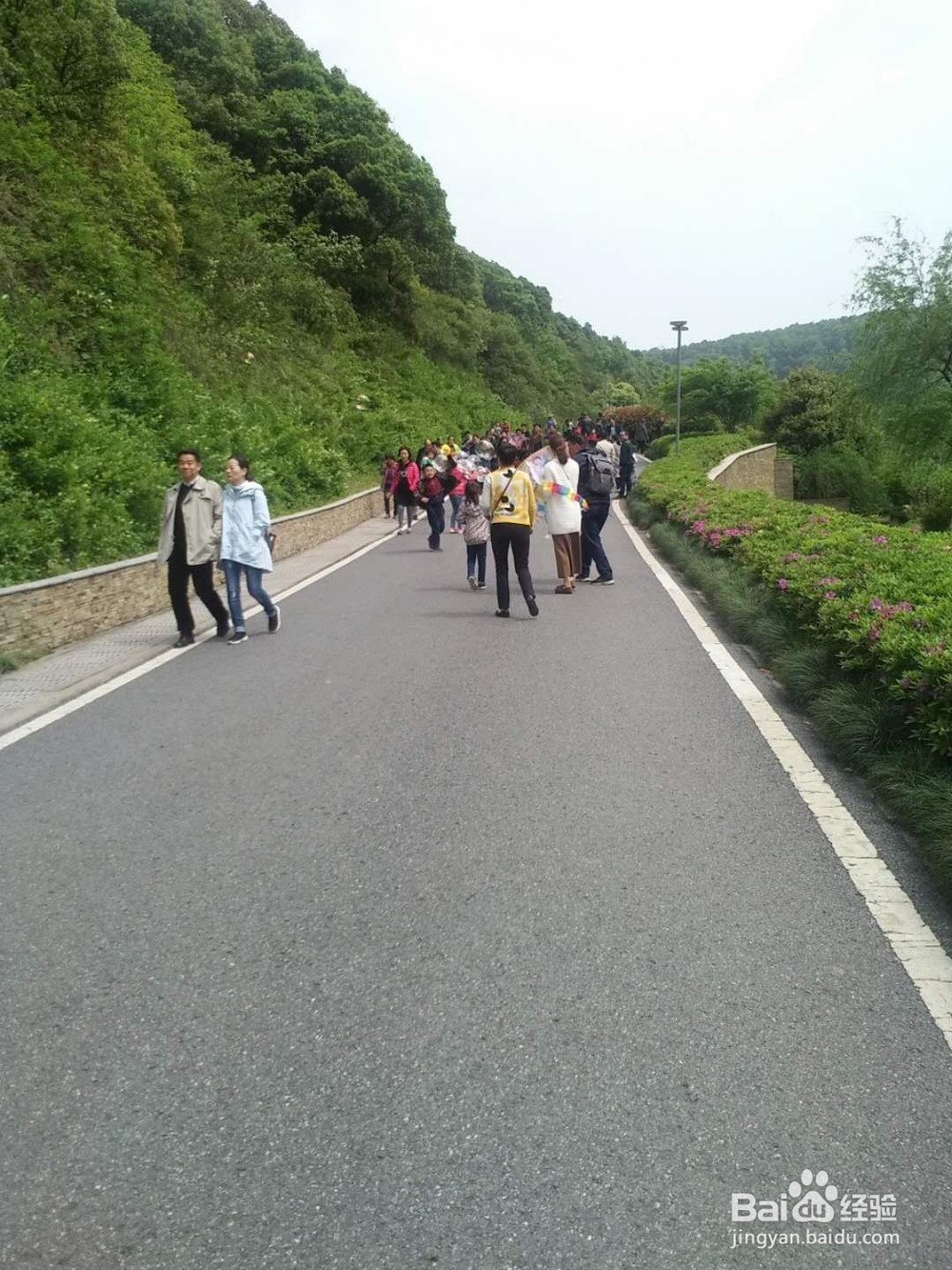 理财与保险的新思维