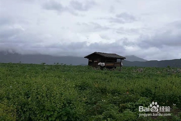 泸沽湖不跟团怎么玩